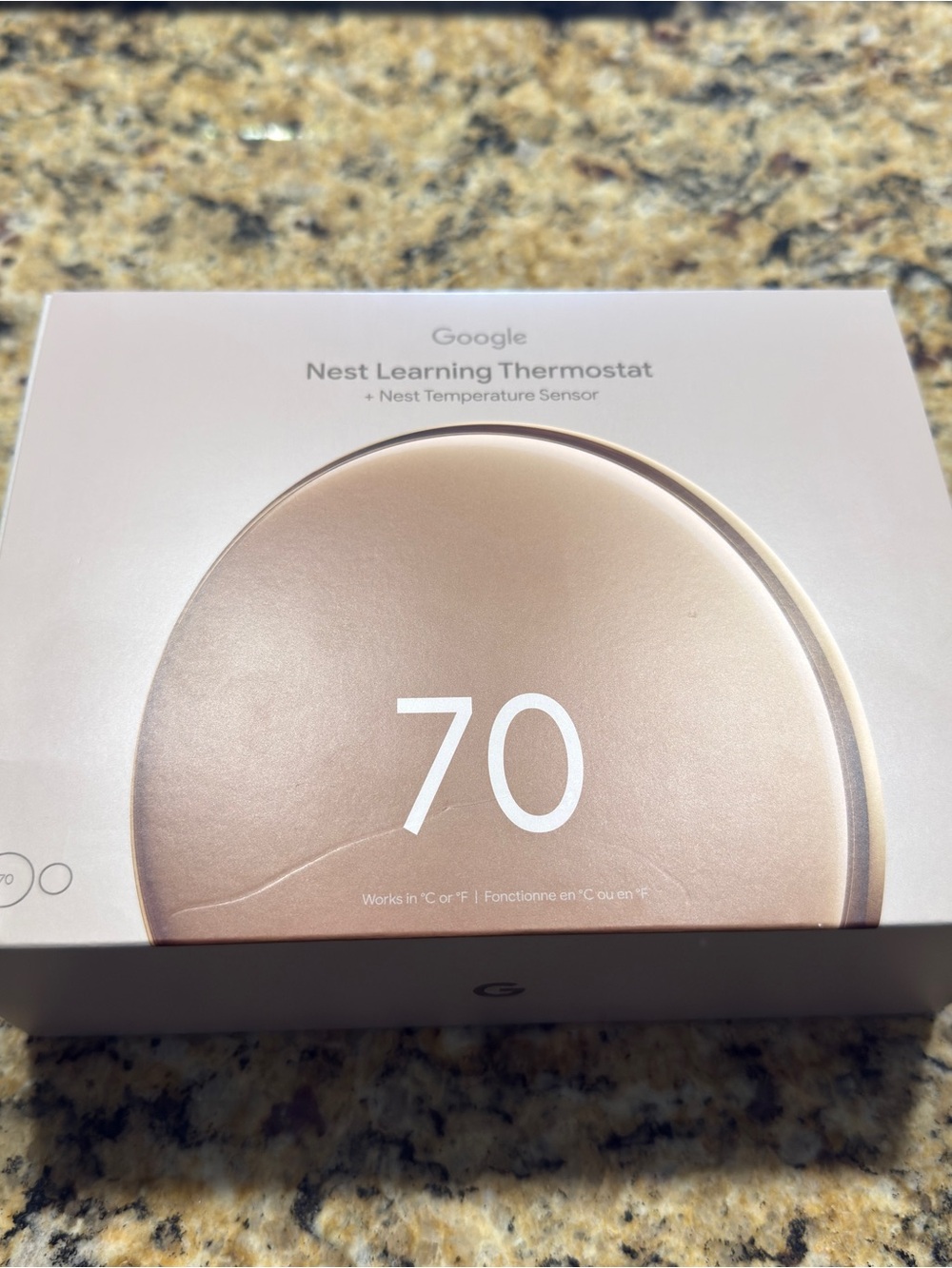 Google Nest 3
